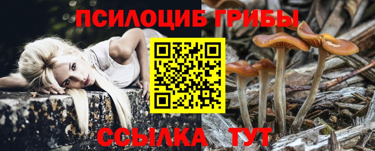 Псилоцибиновые грибы MAGIC MUSHROOMS Вологда